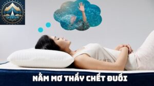 Nằm mơ thấy chết đuối đánh con gì?