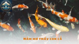 Nằm mơ thấy con cá: Tình huống thường gặp