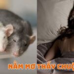 nằm mơ thấy chuột