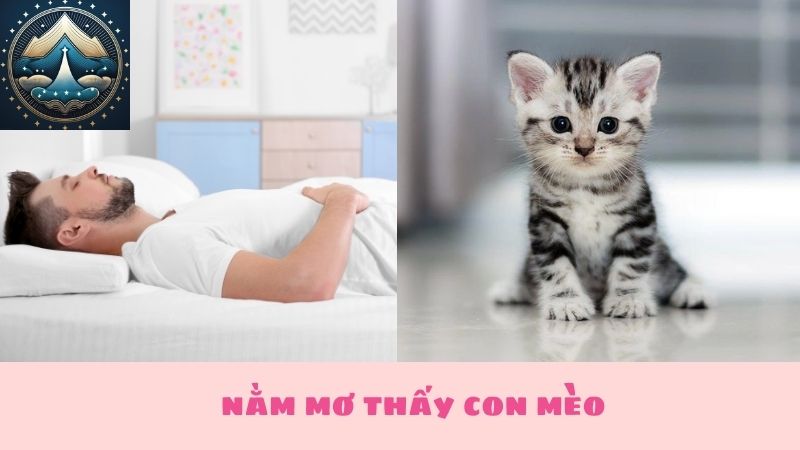 nằm mơ thấy con mèo